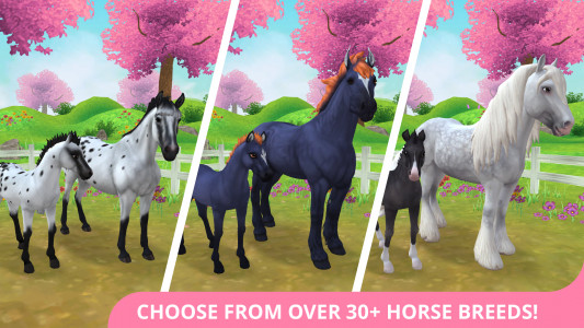 اسکرین شات بازی Star Stable Horses 1