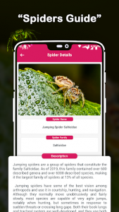 اسکرین شات برنامه Insect Identifier : Insect ID, AI Photo Camera 7