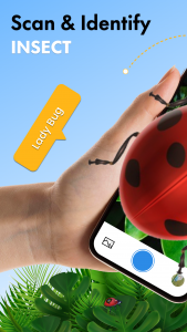 اسکرین شات 1 برنامه Bug Identifier AI: Insect ID