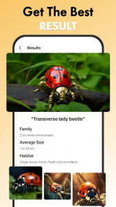 اسکرین شات 3 برنامه Bug Identifier AI: Insect ID