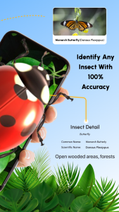 اسکرین شات 2 برنامه Bug Identifier AI: Insect ID