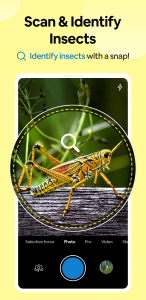 اسکرین شات برنامه Insect Spider & Bug identifier 1