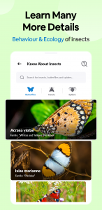 اسکرین شات برنامه Insect Spider & Bug identifier 3