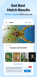 اسکرین شات برنامه Insect Spider & Bug identifier 2