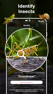 اسکرین شات برنامه Insect Identifier : Insect ID, AI Photo Camera 1