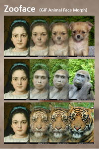 اسکرین شات برنامه Zooface - GIF Animal Morph 2