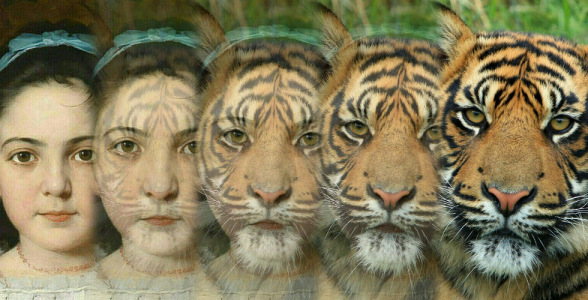 اسکرین شات 1 برنامه Zooface - GIF Animal Morph