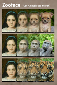 اسکرین شات 2 برنامه Zooface - GIF Animal Morph