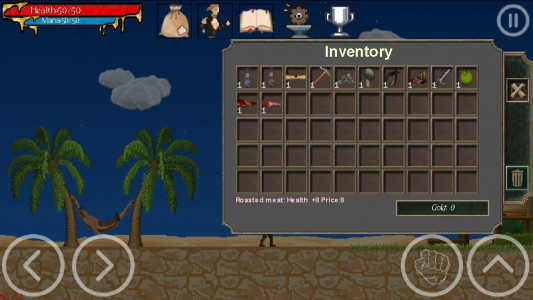 اسکرین شات بازی ArnaLLiA - RPG platformer 4
