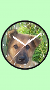 اسکرین شات برنامه Photo Analog Clock-7 3