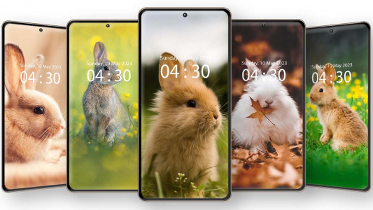 اسکرین شات 2 برنامه Cute Rabbit Wallpaper HD