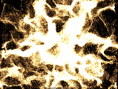 اسکرین شات 2 برنامه Mung: Relax, Breathe, Focus