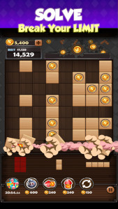 اسکرین شات بازی Block Puzzle King : Wood Block 2