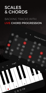 اسکرین شات 5 برنامه Backtrackit: Musicians Player