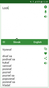 اسکرین شات برنامه Slovak - English Translator 3