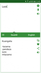 اسکرین شات برنامه Swahili - English Translator 3