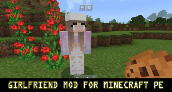 اسکرین شات برنامه Girlsfriend mod for Minecraft 3
