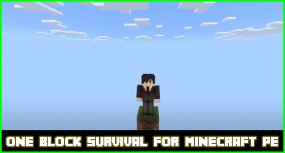 اسکرین شات برنامه block survival for Minecraft 4