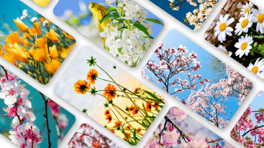 اسکرین شات 1 برنامه Spring Wallpaper 2024