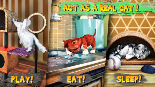 اسکرین شات بازی Cat Simulator 4