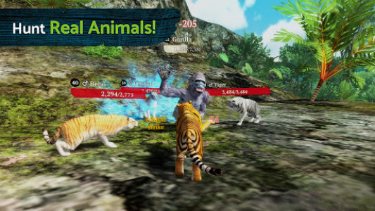 اسکرین شات بازی The Tiger 6