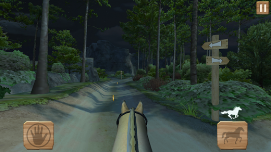 اسکرین شات بازی Pony Trails 3