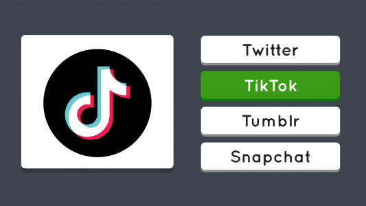 اسکرین شات 5 بازی Guess the Logo: Multiple Logos