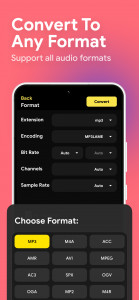 اسکرین شات 4 برنامه Audio Converter - MP4 to MP3