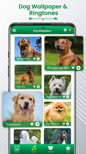 اسکرین شات 1 برنامه Dog Sound Ringtones Wallpapers