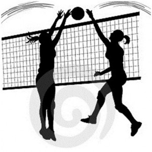 اسکرین شات برنامه volleyball technique 2