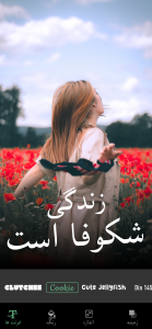 اسکرین شات 2 برنامه نوشتن متن روی عکس -  نوشته ساز