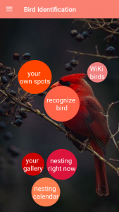 اسکرین شات برنامه Bird Identification 1