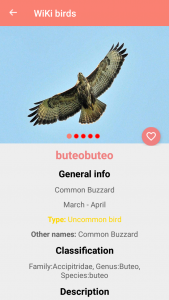 اسکرین شات برنامه Bird Identification 4