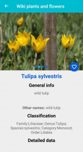 اسکرین شات 4 برنامه Plant & Flower Identification