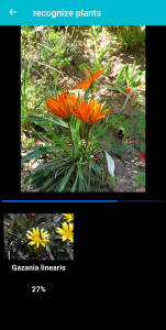 اسکرین شات 2 برنامه Plant & Flower Identification