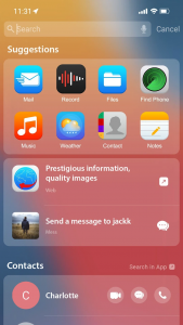 اسکرین شات برنامه iPhone 14 Launcher, iOS 16 3