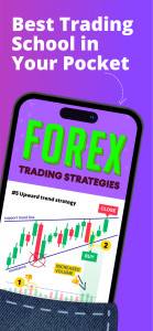 اسکرین شات برنامه Forex Trading for Beginners 3