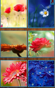 اسکرین شات بازی Flower Jigsaw Puzzles 3