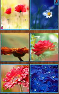 اسکرین شات 3 بازی Flower Jigsaw Puzzles