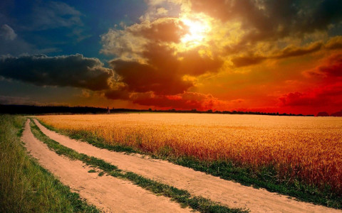 اسکرین شات 1 بازی Sunset Jigsaw Puzzles