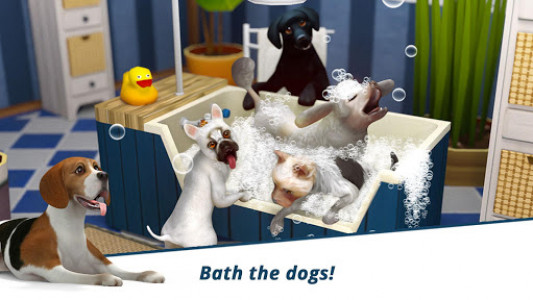 اسکرین شات بازی Dog Hotel – Play with dogs and manage the kennels 2