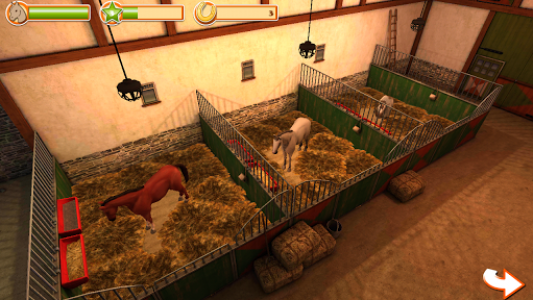 اسکرین شات بازی HorseWorld – My Riding Horse - Play the game 8