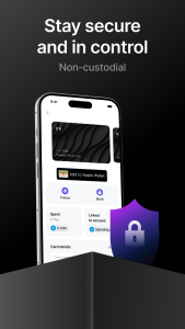 اسکرین شات 5 برنامه Tonhub: Crypto Wallet & Card