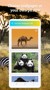 اسکرین شات 3 برنامه Animals Wallpaper HD