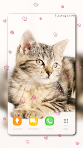 اسکرین شات برنامه Cute Kitten Live Wallpapers 4