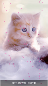 اسکرین شات برنامه Cute Kitten Live Wallpapers 8