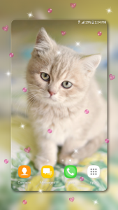 اسکرین شات برنامه Cute Kitten Live Wallpapers 6