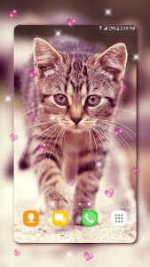 اسکرین شات برنامه Cute Kitten Live Wallpapers 1