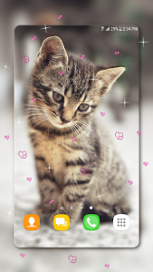 اسکرین شات برنامه Cute Kitten Live Wallpapers 5