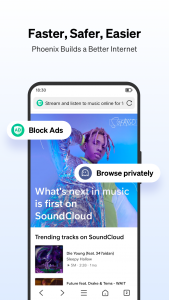 اسکرین شات 3 برنامه Phoenix - Fast & Safe